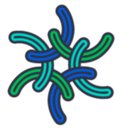 ASTM International Committee D37 on Cannabis Elects New Leadership